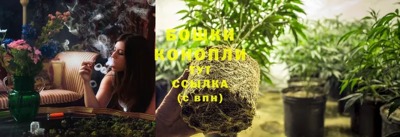 Бошки Шишки SATIVA & INDICA  Печора 